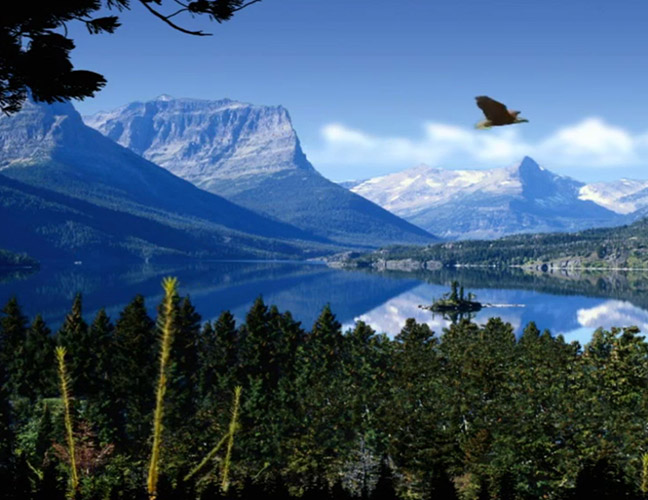 North America Philips Healthcare