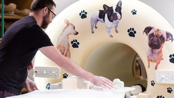 Radiology informatics for improved performance